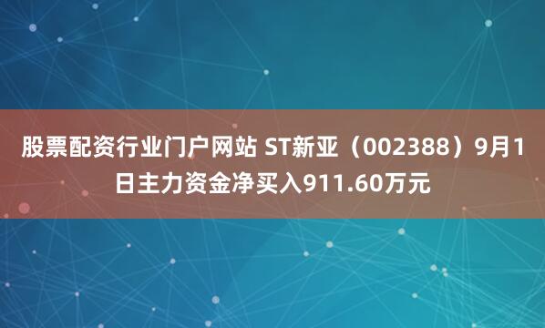 股票配资行业门户网站 ST新亚（002388）9月1日主力资金净买入911.60万元